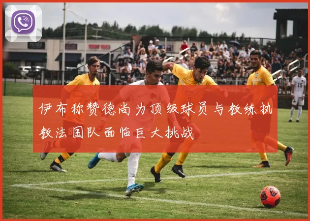 伊布称赞德尚为顶级球员与教练执教法国队面临巨大挑战